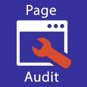Website Audits