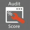 audit-score