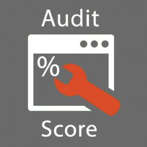audit-score