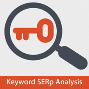 keyword - serp analysis