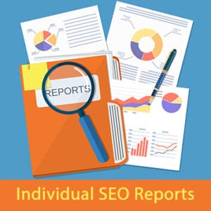 individual reports